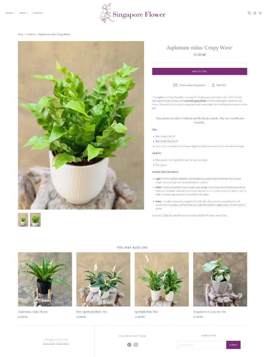 Singapore Flower Website 2